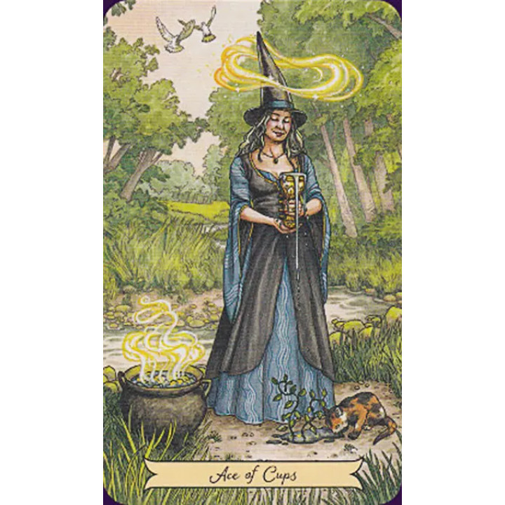 Everyday Witch Tarot (Таро повсякденної відьми). Набір: колода карт + книга. Elisabeth Alba, Deborah Blake