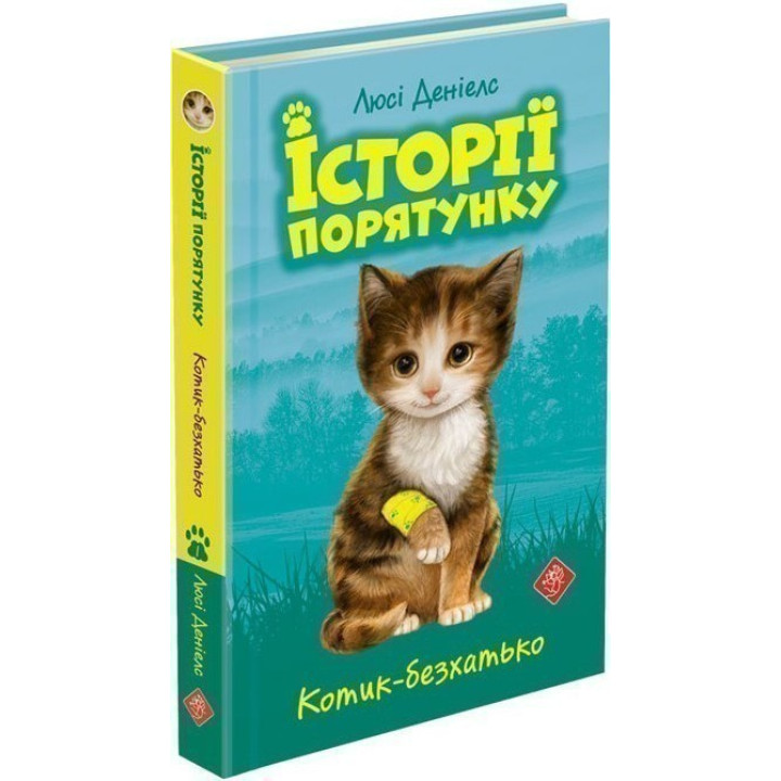 История спасения. Котик-бездомный