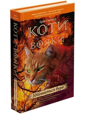 Кошки воины. Поднимается буря