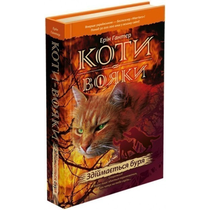Кошки воины. Поднимается буря