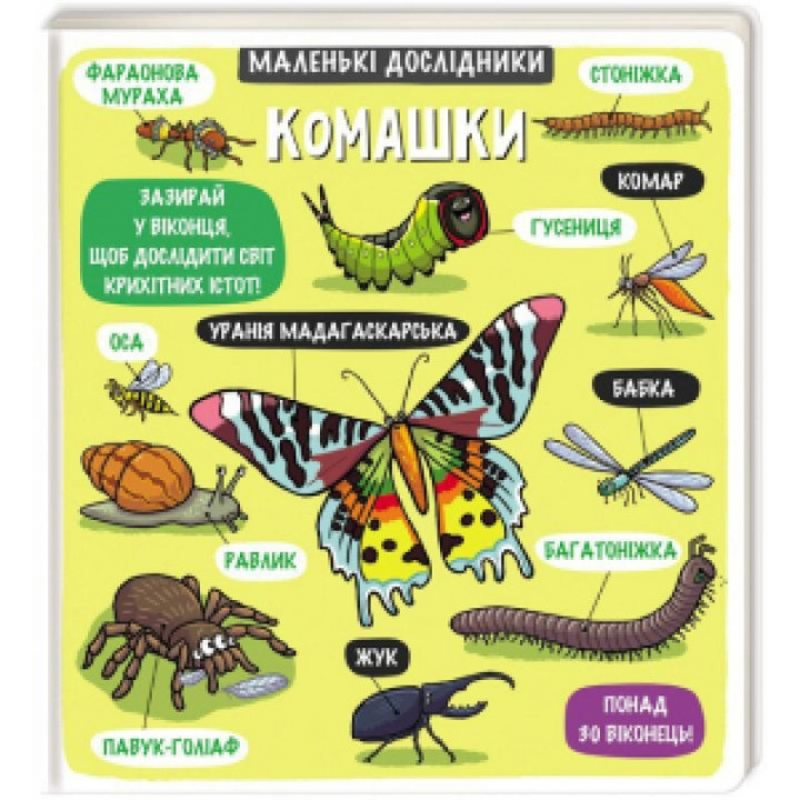 Маленькие исследователи.
