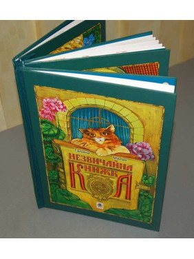 Необычная книга