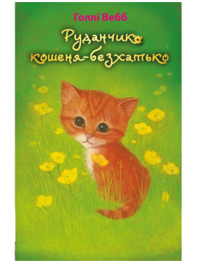 Руданчик — котенок-бездомный