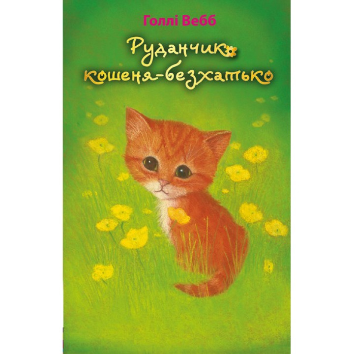 Руданчик — кошеня-безхатько