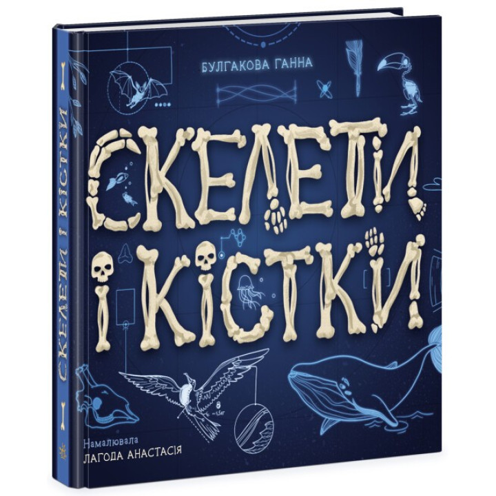 Скелеты и кости