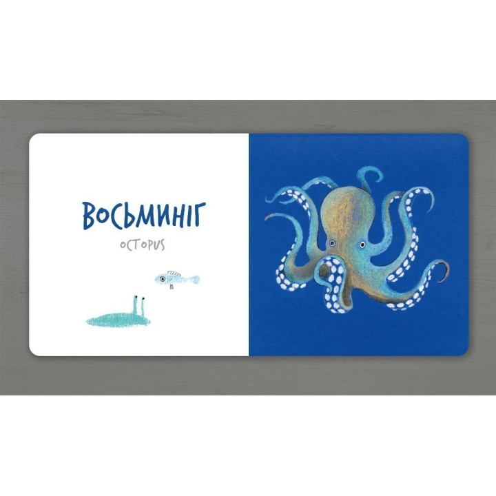 Збери веселку набір 7шт (укр)
