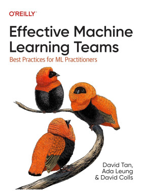 Effective Machine Learning Teams: Best Practices for ML Practitioners. David Tan, Ada Leung, David Colls