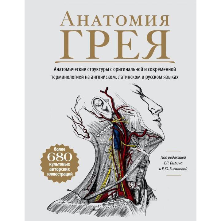 Анатомія Грея. Анатомічні структури з оригінальною і сучасної терми. Білич Р. Л., Зигалова О. Ю.