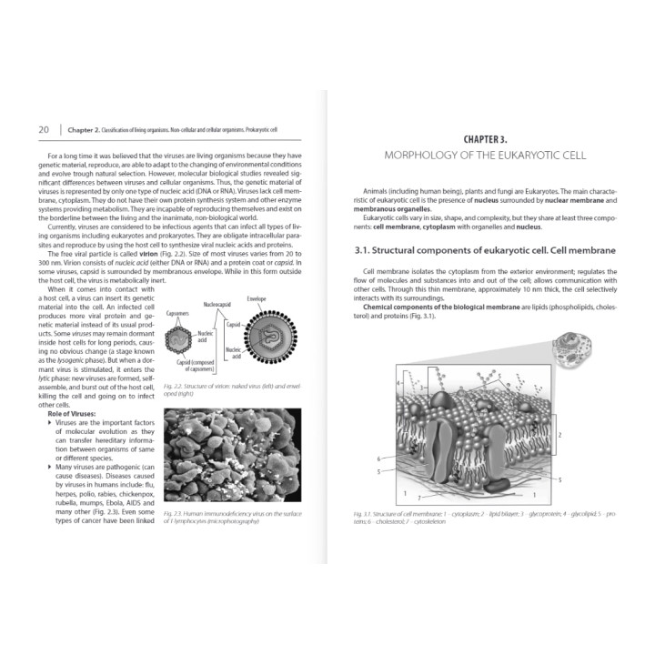 Medical Biology/Медицинская биология. 2-е изд. выпр. и доп. Бажора Ю.И. и т.д.